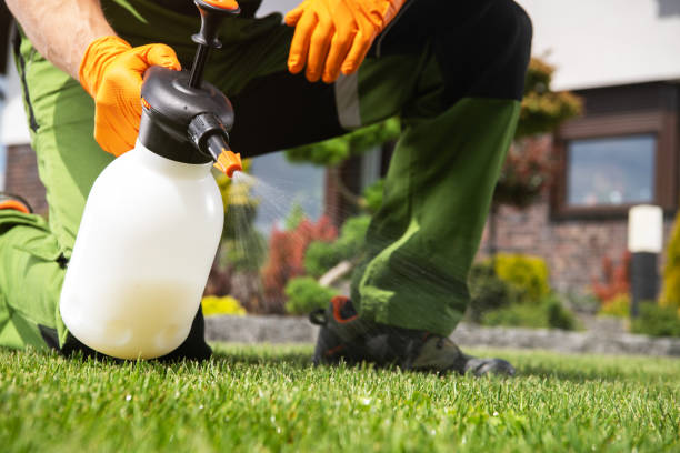 Wildlife Control Services in Strongsville, OH