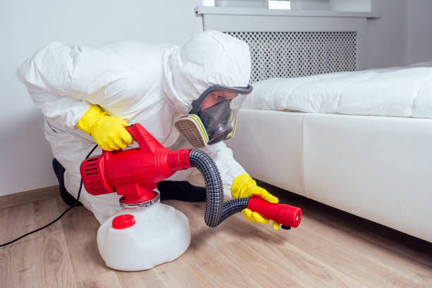 Best Pest Prevention Services  in Strongsville, OH