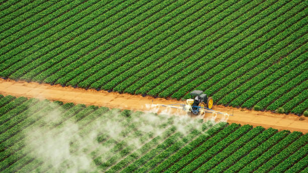 Best Commercial Pest Control Services  in Strongsville, OH